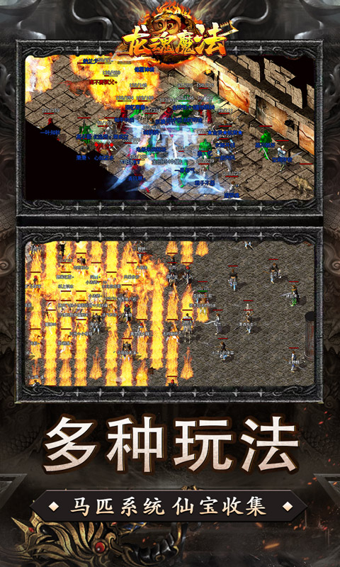https://api.haiwanhuyu.com/static/uploads/20250902222850597.png